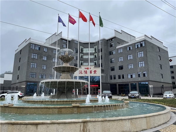 沅陵酒业研发中心大楼                                    